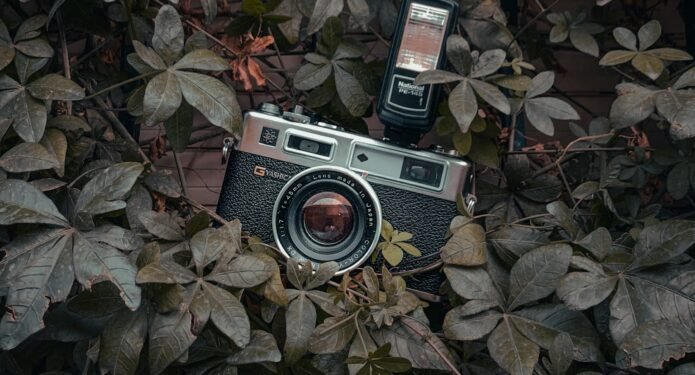 Photo of a camera surrounded by plants